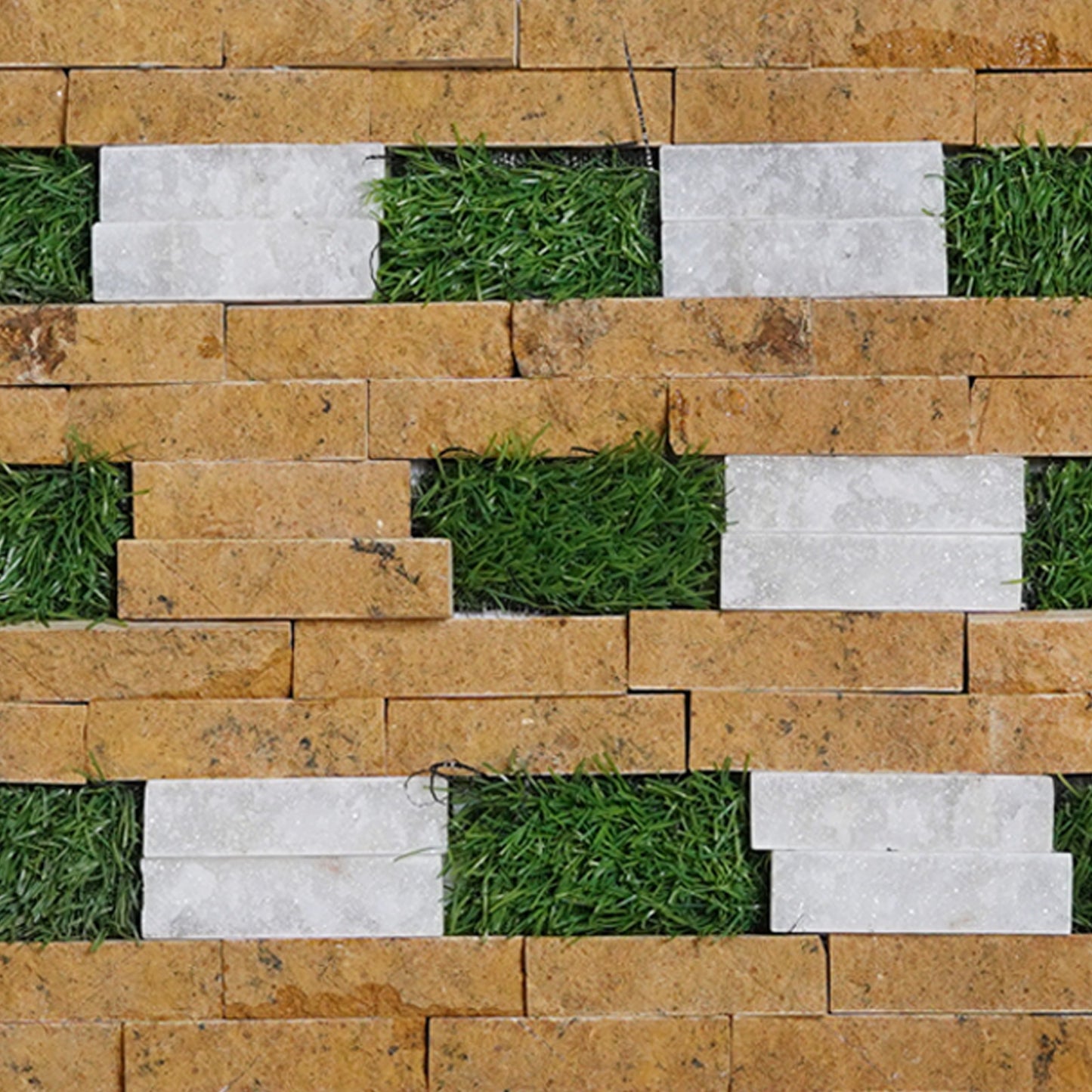 Golden +grass chezel